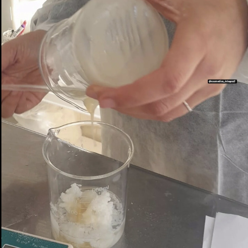 COSMÉTICA NATURAL INTEGRAL.